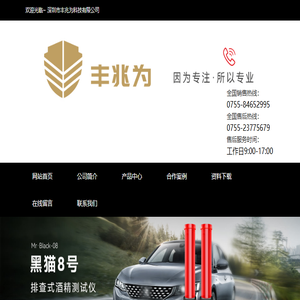 酒精测试仪