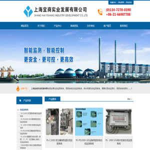 上海宜商实业发展有限公司