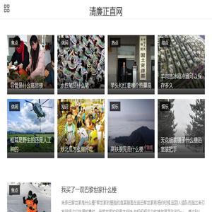 清廉正直网