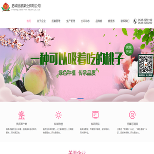 肥城桃都果业有限公司