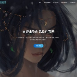 向风软件