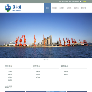 广东保丰港务有限公司