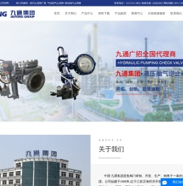 气动抽气止回阀