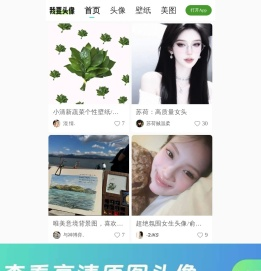 头像手机壁纸分享