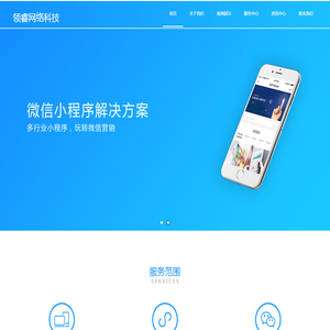 河南领睿网络科技有限公司