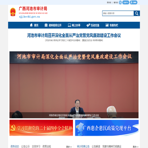广西河池审计局网站