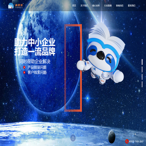 青岛新思维网络