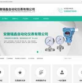 安徽瑞鑫自动化仪表有限公司