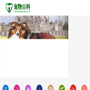 福建食品网