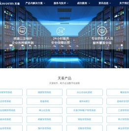 重庆网站建设公司