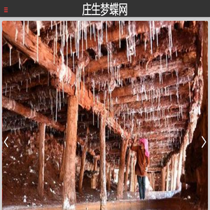 庄生梦蝶网