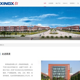 星星集团有限公司