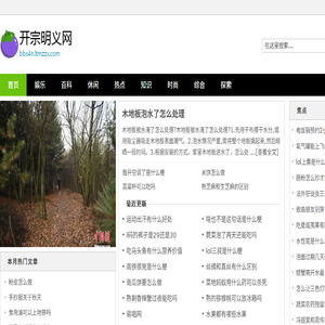 开宗明义网
