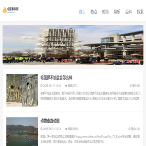 冷面寒铁网