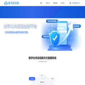 星河云科技/供应链管理系统