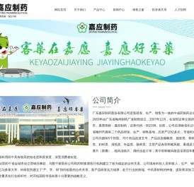 广东嘉应制药股份有限公司