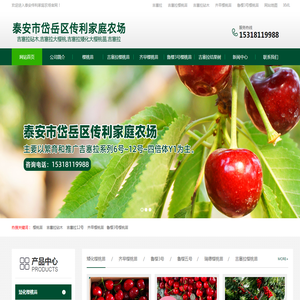 吉塞拉樱桃苗,吉塞拉矮化樱桃苗