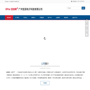 广州宝润电子科技有限公司
