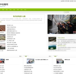 冢中枯骨网