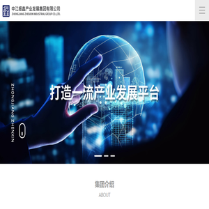 中江振鑫产业发展集团有限公司