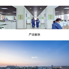 山西华鑫煤焦化实业集团有限公司