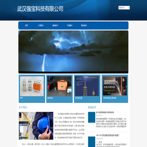 武汉强宝科技有限公司