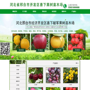 邢台经济开发区善下献军果树苗木场