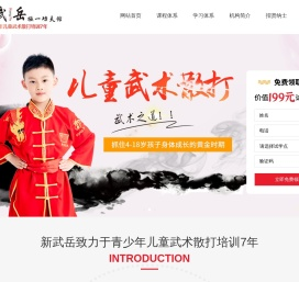 新武岳青少儿武术散打