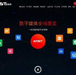 昆山网络公司【恩斯特】