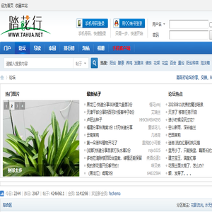 踏花行花卉论坛