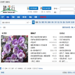 河南启智信息科技有限公司