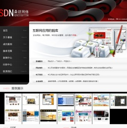 上海桑顿网络科技有限公司