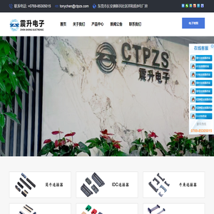 东莞市震升电子有限公司