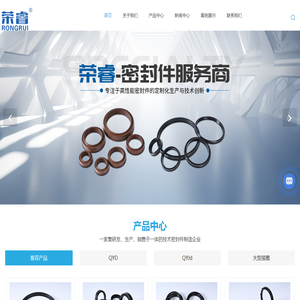 氟胶气缸密封圈