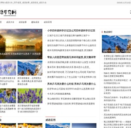 成语学习网站