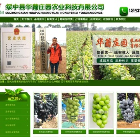 正规葡萄苗企业