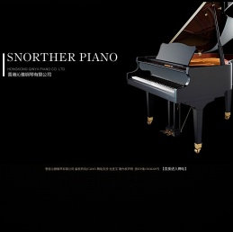 香港沁雅钢琴有限公司