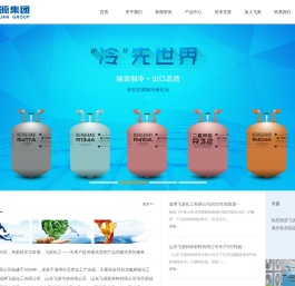 山东飞源集团有限公司