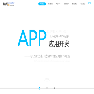 专业领先的互联网技术服务提供商