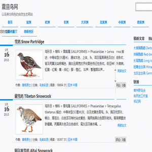 震旦鸟网