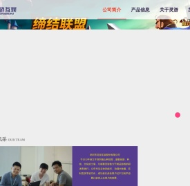 深圳市灵游互娱股份有限公司