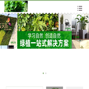金坛绿植物租赁