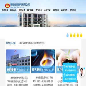 泰安安泰燃气有限公司