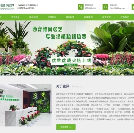 西安绿植租赁,西安绿植租摆,西安花卉租赁,西安办公室绿植租摆