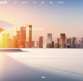 深圳市网新新思软件有限公司