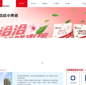 隆中谏策品牌管理公司