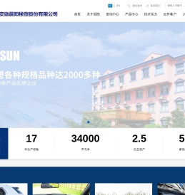 安徽晨阳橡塑股份有限公司