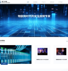 物联网时代的安全视频专家