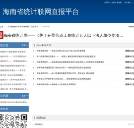 海南省统计联网直报平台