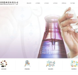 安徽省肥西县医药公司